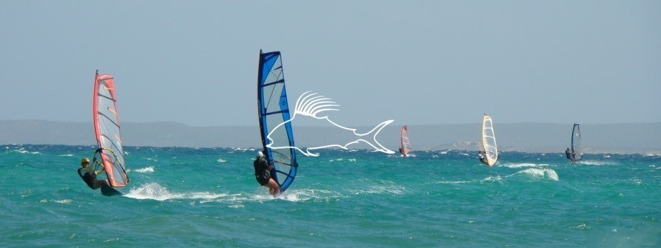 windsurfers_el_sargento_360 windsurfers_el_sargento_360